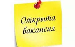 ИП Бачище ИП Бачище